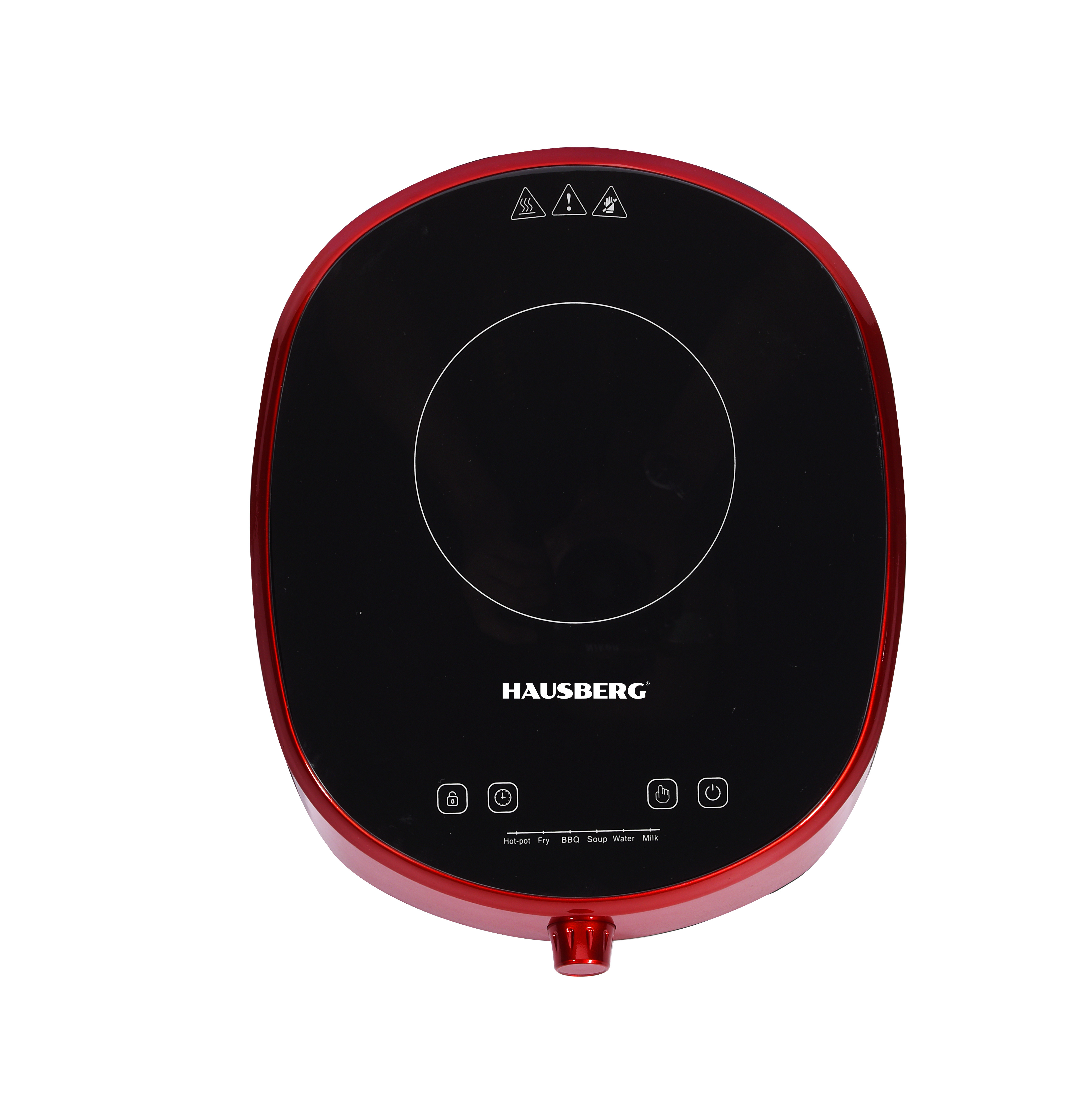 INDUCTION COOKER